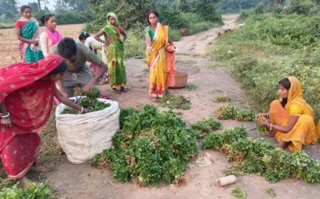 खेती में डिजिटल टेक्नोलॉजी व डेटा का होगा इस्तेमाल