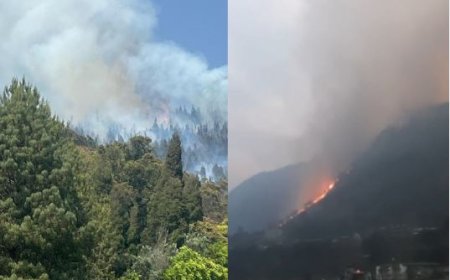 अरुणाचल के वालोंग में 1.39 लाख लीटर पानी की बारिश, वायुसेना ने बुझाई भीषण आग