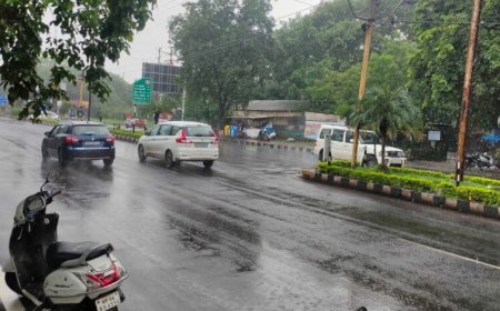 भोपाल-उज्जैन सहित 20 जिलों में बारिश, फसलें प्रभावित; कृषि मंत्री ने सर्वे का ऐलान किया