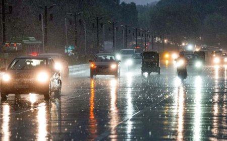 MP में बदलते मौसम से किसानों की बढ़ी चिंताएं, फरवरी में चौथी बार ओले और बारिश