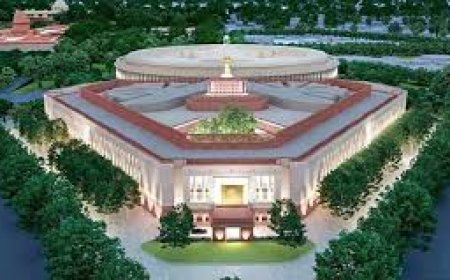 संसद परिसर में अचानक से खतरे का सायरन बजने लगा.........फिर हुआ क्या