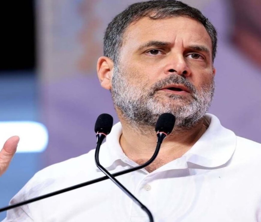 राहुल गांधी की दोहरी नागरिकता पर इलाहाबाद हाईकोर्ट ने कहा- हम अभी नहीं देखेंगे…