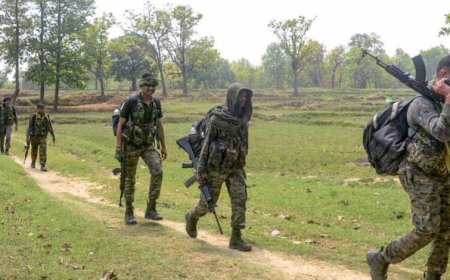 छत्तीसगढ़-ओडिशा सीमा पर बड़ा खुलासा: जंगल से भारी विस्फोटक बरामद, CRPF ने तेज की सर्चिंग