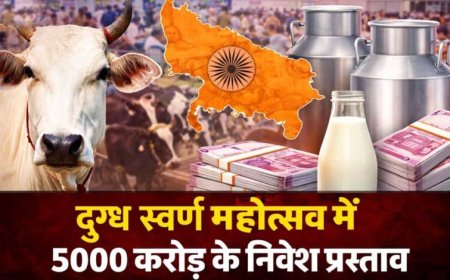 दुग्ध स्वर्ण महोत्सव-2026: योगी सरकार के विजन से डेयरी सेक्टर को नई रफ्तार