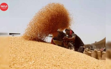4 लाख 88 हजार किसानों से 19 लाख 90 हजार मीट्रिक टन गेहूं का हुआ उपार्जन