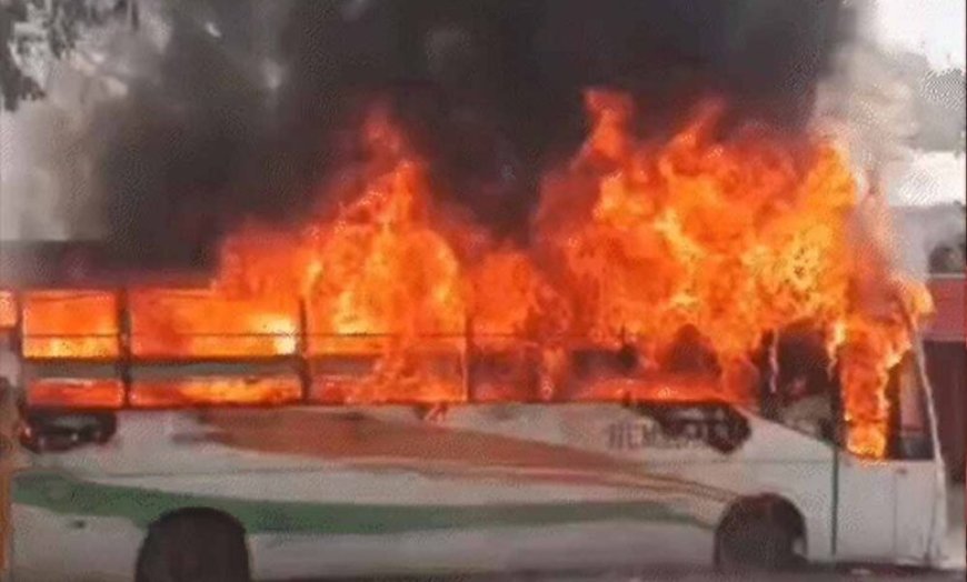 बारातियों से भरी बस में अचानक आग, शॉर्ट सर्किट की आशंका से मचा हड़कंप | Balod Bus Fire Accident News