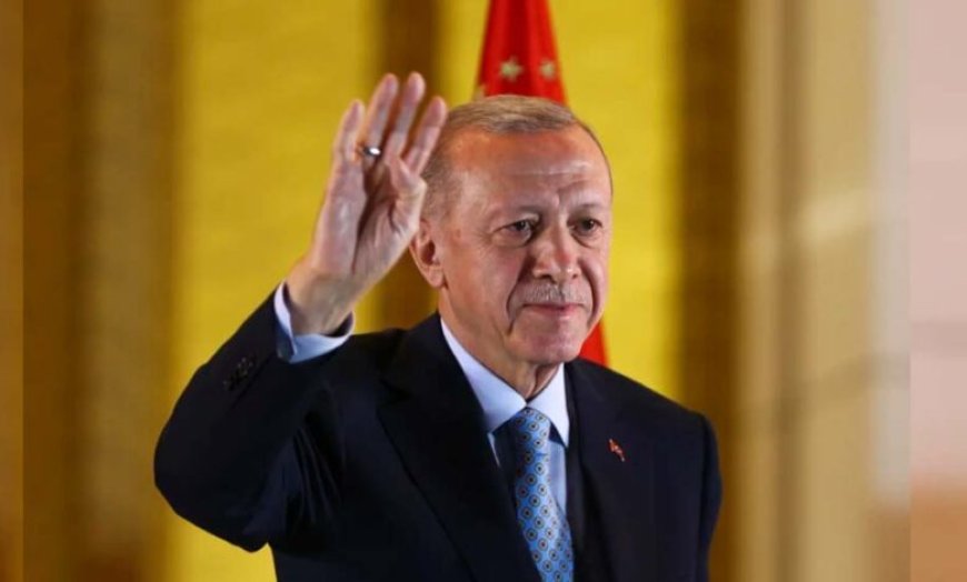 तुर्की शिफ्ट होने वालों को मिला फायदा, 20 साल तक सरकार ने नहीं लिया कोई टैक्स!