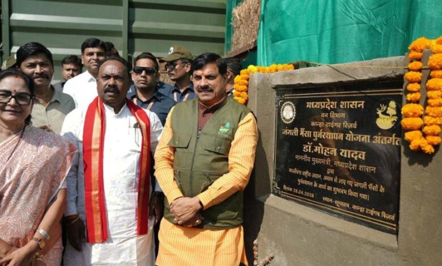 और खूबसूरत हुई एमपी की वाइल्ड लाइफ, सीएम डॉ. मोहन ने रिलीज किए 4 जंगली भैसें, ईको-सिस्टम पर होगा इतना असर