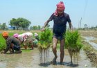 कृषि विकास दर में भारत बना दुनिया में नंबर 1, चीन को पीछे छोड़ हासिल की बड़ी उपलब्धि