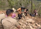उत्तराखंड में भयावह सड़क हादसा, अनियंत्रित ट्रक खाई में गिरा, चालक की मौके पर मौत