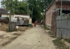 बंगाल में कार्रवाई के बाद बिहार का सीमांचल अलर्ट, कटिहार सीमा पर सख्ती बढ़ी, घुसपैठ और रोहिंग्या पर रखी जा रही नजर