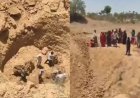 पन्ना में बड़ा हादसा निर्माणाधीन कुएं में मिट्टी धंसने से 5 मजदूर दबे, रेस्क्यू के बीच गांव में पसरा मातम