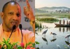 यूपी में बड़ी पहल, सिंघानिया और बड़ा तालाब को मिला वेटलैंड का दर्जा, बढ़ेगा पर्यावरण संरक्षण