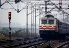 गोरखपुर-देवरिया रेल रूट पर पेड़ गिरने से ट्रेनों का संचालन ठप, यात्री परेशान