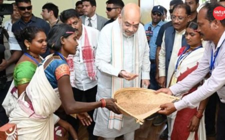 केंद्रीय गृहमंत्री अमित शाह ने चखा बस्तर की इमली का स्वाद बोले यहां की इमली का स्वाद खट्टा नहीं बल्कि मीठा