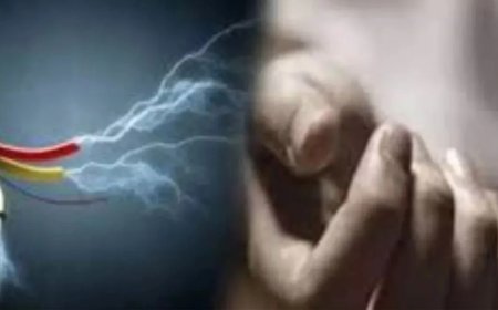 आम तोड़ने गया किशोर हाईटेंशन तार की चपेट में आया, दर्दनाक मौत से गांव में मातम