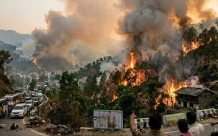 उत्तराखंड के जंगलों में धधकी आग, उत्तरकाशी की बाड़ाहाट और मुखेम रेंज में बढ़ा खतरा
