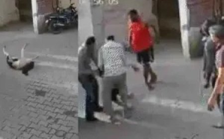 चंडीगढ़ में दिल दहला देने वाला हादसा, कपड़े सुखाते वक्त छत से गिरी लड़की मचा हड़कंप