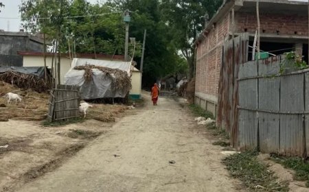 बंगाल में कार्रवाई के बाद बिहार का सीमांचल अलर्ट, कटिहार सीमा पर सख्ती बढ़ी, घुसपैठ और रोहिंग्या पर रखी जा रही नजर