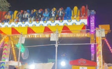 राजगीर मलमास मेले में बड़ा हादसा ‘सुनामी झूले’ से गिरा युवक, लाइव वीडियो वायरल होते ही मचा हड़कंप और सुरक्षा व्यवस्था पर उठे गंभीर सवाल