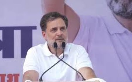 तमिलनाडु कांग्रेस में बड़ा राजनीतिक झटका, वी. श्रीनिधि ने पार्टी और पद से दिया इस्तीफा