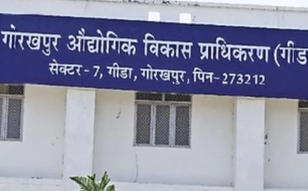 गोरखपुर में 4000 करोड़ की बायोफ्यूल परियोजना बनेगा विमानन ईंधन प्लांट, सीएम योगी करेंगे शिलान्यास