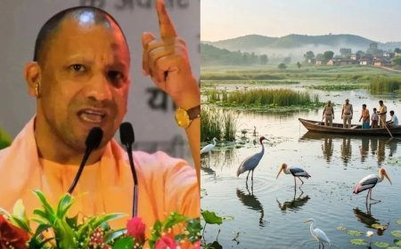 यूपी में बड़ी पहल, सिंघानिया और बड़ा तालाब को मिला वेटलैंड का दर्जा, बढ़ेगा पर्यावरण संरक्षण