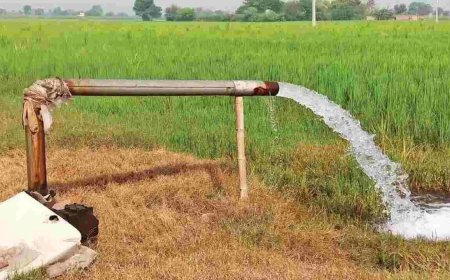 हरियाणा के किसानों के लिए राहत, अब 45 दिन में मिलेगी बोरवेल लगाने की अनुमति