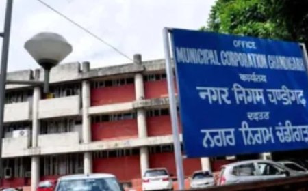 चंडीगढ़ नगर निगम को हाईकोर्ट से बड़ा झटका, सफाई टेंडर विवाद पर लगी रोक