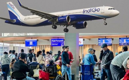Indigo और Air India ने घटाईं घरेलू उड़ानें, यात्रियों को झटका; किराए बढ़ने के आसार
