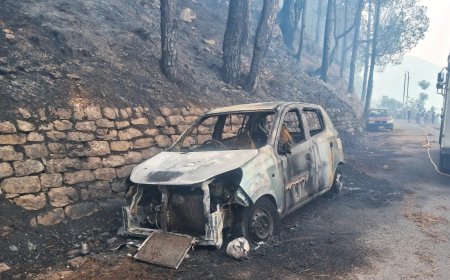 उत्तराखंड में जंगल की आग से घिरा नर्सिंग कॉलेज, सड़क किनारे खड़ी कार जलकर खाक