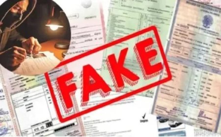 उत्तराखंड में फर्जी डिग्री से नौकरी का खुलासा असिस्टेंट प्रोफेसर बर्खास्त, विभागीय जांच में दोषी पाए गए