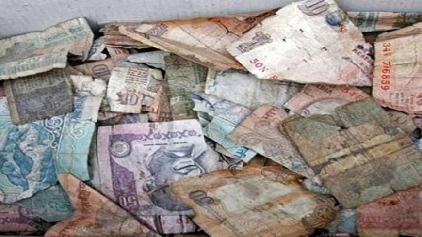 कटे-फटे नोट बदलने के नियम आसान, RBI ने दी नई सुविधा, आम जनता को बड़ी राहत