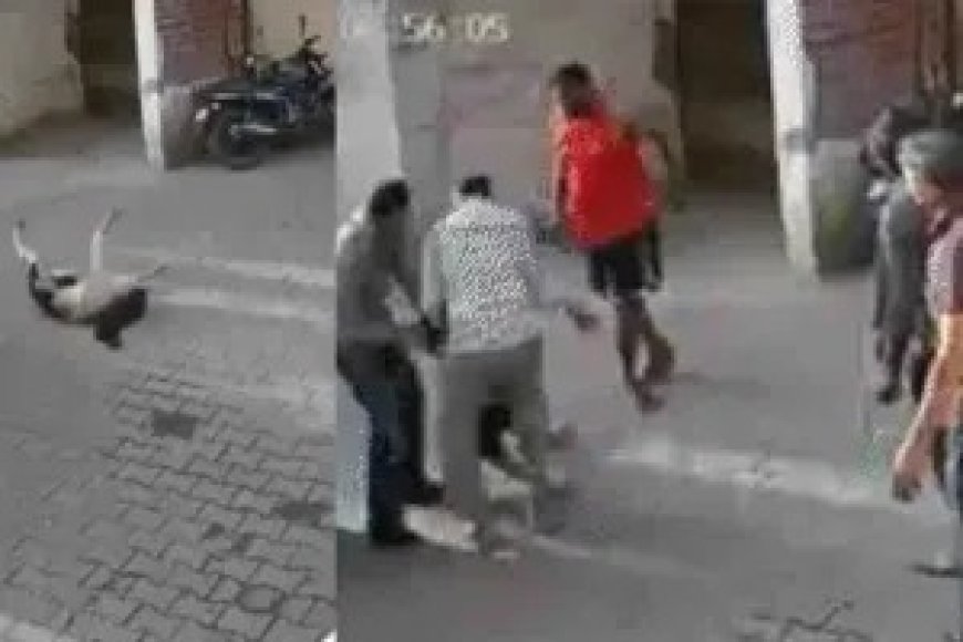 चंडीगढ़ में दिल दहला देने वाला हादसा, कपड़े सुखाते वक्त छत से गिरी लड़की मचा हड़कंप