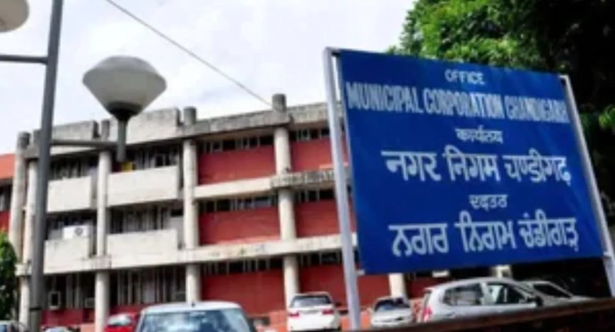 चंडीगढ़ नगर निगम को हाईकोर्ट से बड़ा झटका, सफाई टेंडर विवाद पर लगी रोक