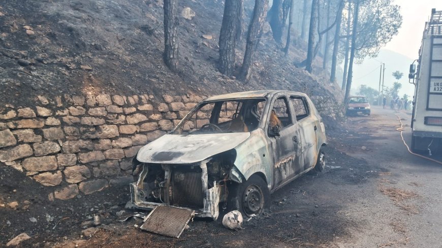 उत्तराखंड में जंगल की आग से घिरा नर्सिंग कॉलेज, सड़क किनारे खड़ी कार जलकर खाक