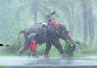 आ गई खुशखबरी! भारत में मानसून की धमाकेदार एंट्री, जानिए यूपी-बिहार में कब देगा दस्तक