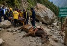 केदारनाथ यात्रा मार्ग पर दर्दनाक हादसा, पहाड़ी से गिरे पत्थरों की चपेट में आने से घोड़ा संचालक की मौत