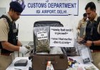 दिल्ली एयरपोर्ट पर करोड़ों की ड्रग्स बरामद, बैंकॉक से आए भारतीय यात्री को कस्टम ने दबोचा