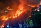 उत्तराखंड के जंगलों में आग का कहर पिछले साल से 90% ज्यादा नुकसान, 533 हेक्टेयर से अधिक वन क्षेत्र राख