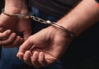 दिल्ली में बड़ा चाइल्ड ट्रैफिकिंग रैकेट का पर्दाफाश, 20 से ज्यादा नवजात बच्चों की बिक्री का खुलासा; 12 आरोपी गिरफ्तार