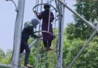 मऊ में शादी की जिद पर मोबाइल टावर पर चढ़ी युवती, प्रेमी के आश्वासन के बाद सुरक्षित उतरी