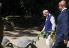 सेशेल्स पहुंचे PM मोदी, राष्ट्रपति पैट्रिक हर्मिनी संग एल्डाब्रा कछुओं को खिलाईं पत्तियां; 50वें राष्ट्रीय दिवस समारोह में होंगे मुख्य अतिथि