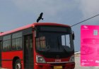 दिल्ली DTC में 1 जुलाई से खत्म होगी पिंक टिकट व्यवस्था, महिलाओं की मुफ्त यात्रा रहेगी जारी; अब पिंक कार्ड होगा अनिवार्य