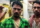 पन्ना की धरती ने फिर बदली आदिवासी परिवार की किस्मत: 11.19 कैरेट का बेशकीमती हीरा मिला, दो साल में दूसरी बार चमकी किस्मत; नीलामी में 30 लाख रुपये तक मिलने की उम्मीद