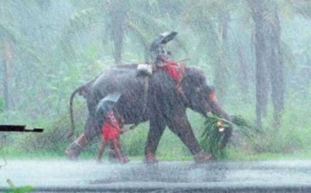 आ गई खुशखबरी! भारत में मानसून की धमाकेदार एंट्री, जानिए यूपी-बिहार में कब देगा दस्तक