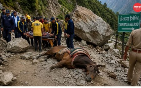 केदारनाथ यात्रा मार्ग पर दर्दनाक हादसा, पहाड़ी से गिरे पत्थरों की चपेट में आने से घोड़ा संचालक की मौत