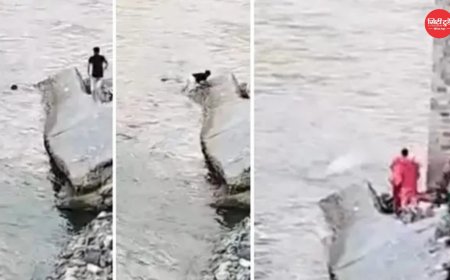 साहस को सलाम ब्यास नदी में दो लोगों की जान बचाकर खुद लहरों में समा गया पंजाब का युवक, कुल्लू में दर्दनाक अंत