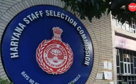 हरियाणा SSC का बड़ा दावा 2 साल में 46,951 युवाओं को मिली नौकरी, अब 13 हजार नई भर्तियों की तैयारी