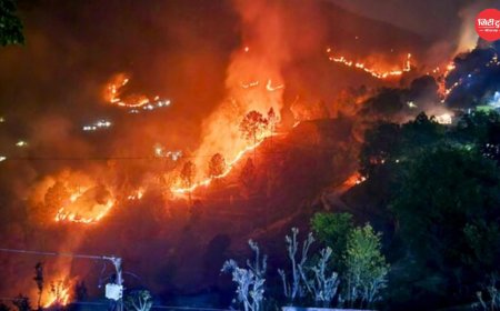 उत्तराखंड के जंगलों में आग का कहर पिछले साल से 90% ज्यादा नुकसान, 533 हेक्टेयर से अधिक वन क्षेत्र राख
